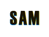 Логотип Sam